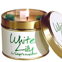 White Lily