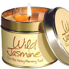 Wild Jasmine